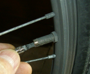 1IMGP0105.jpg