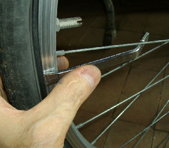 1IMGP0115.jpg