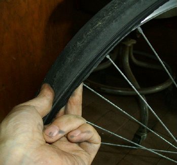 1IMGP0117.jpg