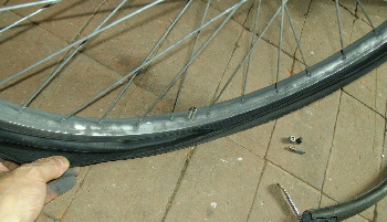 1IMGP0118.jpg