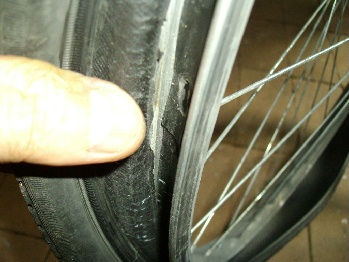 1IMGP0126.jpg