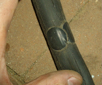 1IMGP0161.jpg