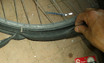 1IMGP0162.jpg