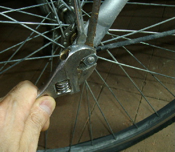 1IMGP0113.jpg