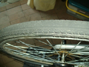 1IMGP0192.jpg